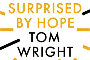 A Modest Critique of N. T. Wright’s <i>Surprised by Hope</i> from the Perspective of Paradise and the Final Judgment